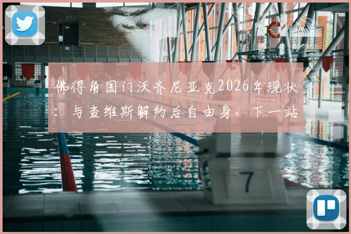 佛得角国门沃齐尼亚克2026年现状：与查维斯解约后自由身，下一站去向何方？